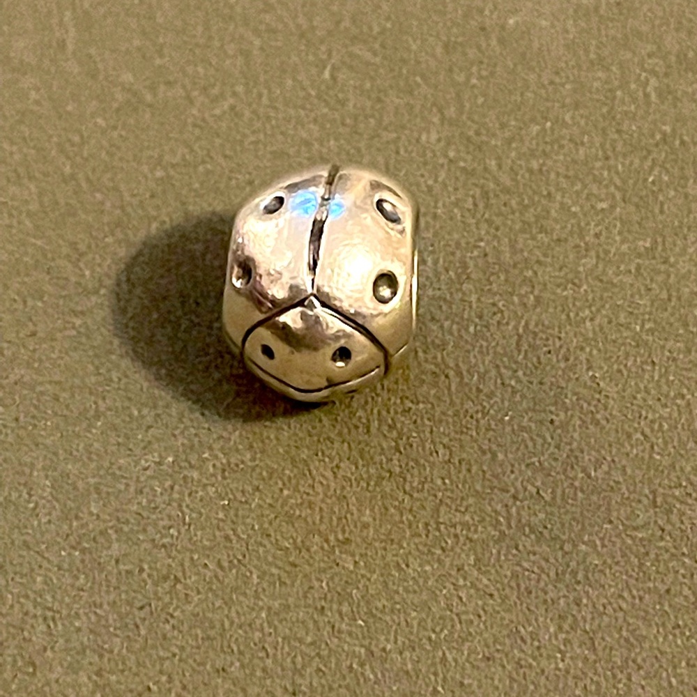 Pandora ladybug